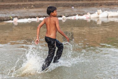 RAXAUL, INDIA - 8 NOV: Hindistan 'ın Bihar eyaletinde 8 Kasım 2013 tarihinde Chhas' ı kutlayan tanımlanamayan Hintli kadınlar.