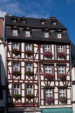 Güzel yeşil üzüm bağı, hasattan önce sonbahar manzarası 