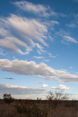 Kruger Ulusal Parkı, Kuzeydoğu Güney Afrika