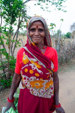 RAXAUL, INDIA: Raxaul, Bihar State, Hindistan 'da tanımlanamayan Hintli kadın, Kasım 2013