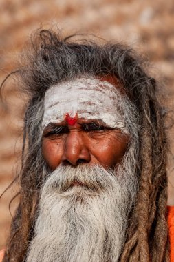 Sakallı bir Sadhu 'nun portresi. Alnı boyalı ve rastalı.