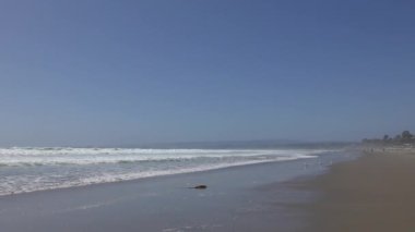 Sahile vuran okyanus dalgalarının ve hazırda bekleyen martıların görüntüleri.