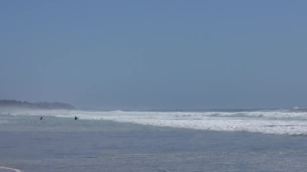 Unbekannte Surfer Juni 2018 Rio Del Mar Santa Cruz County — Stockvideo