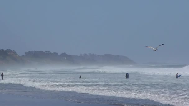 Azonosítatlan Szörfösök Rio Del Mar Santa Cruz Megye Kalifornia Usa — Stock videók