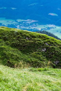 Avusturya 'nın Salzburg eyaletinde Schafberg Dağı ve Wolfgangsee Gölü' nün manzarası 