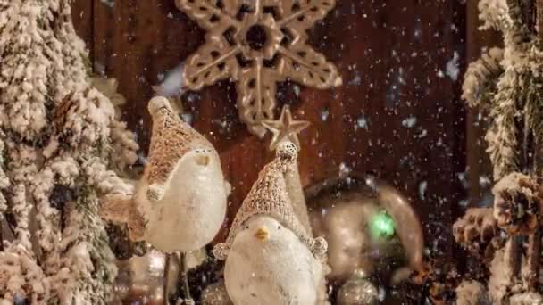 冬の帽子の白い鳥のビデオ雪の効果でアドベンチャーシーズンのクリスマスの装飾 — ストック動画