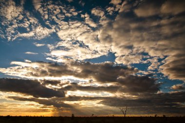 Güney Afrika Kruger Ulusal Parkı 'nda Afrika gündoğumu