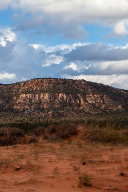 Rocky Kanyon Dağları manzarası ve kurumuş bitkiler