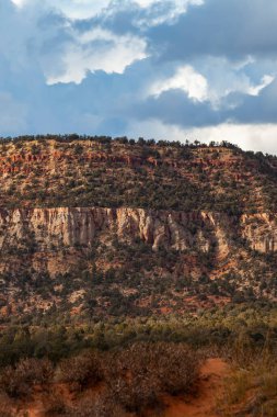 Rocky Kanyon Dağları manzarası ve kurumuş bitkiler