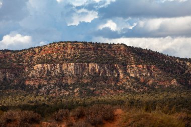 Rocky Kanyon Dağları manzarası ve kurumuş bitkiler