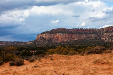 Rocky Kanyon Dağları manzarası ve kurumuş bitkiler