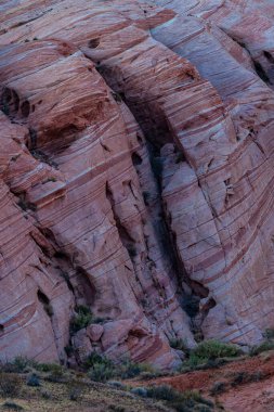 Ateş Vadisi 'nin kıvrımlı pembe ve turuncu renkli manzarası 