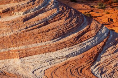 Ateş Vadisi 'nin kıvrımlı pembe ve turuncu renkli manzarası 