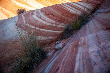 Ateş Vadisi 'nin kıvrımlı pembe ve turuncu renkli manzarası 