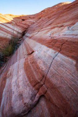 Ateş Vadisi 'nin kıvrımlı pembe ve turuncu renkli manzarası 