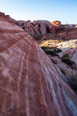 Ateş Vadisi 'nin kıvrımlı pembe ve turuncu renkli manzarası 