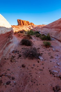 Ateş Vadisi 'ndeki pembe kıvrımlı manzaraların gerçeküstü görüntüsü 
