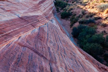 Ateş Vadisi 'nin kıvrımlı pembe manzaraları 