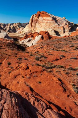 Ateş Vadisi 'nin kıvrımlı pembe ve turuncu renkli manzarası 