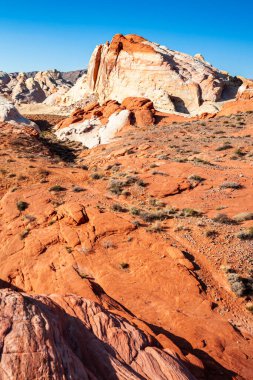 Ateş Vadisi 'nin kıvrımlı pembe ve turuncu renkli manzarası 