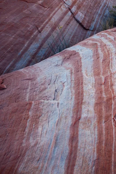 Curvy Rocciosa Rosa Arancione Paesaggio Colorato Della Valle Del Fuoco — Foto Stock