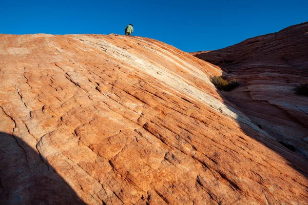 Curvy Rocky Pink Orange Colored Landscape Scenery Valley Fire — Stock Photo, Image