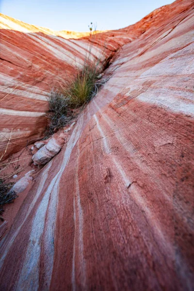 Hierba Del Desierto Asomándose Través Paisaje Hermoso Rocoso Curvado Del —  Fotos de Stock