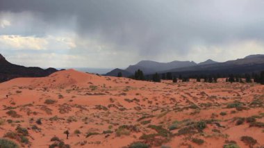 Sun has barely set above Coral Pink Sand Dunes State Park near Kanab, Utah, USA