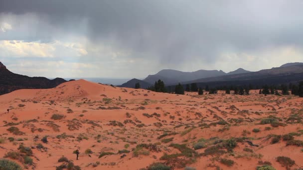 Sun Has Barely Set Coral Pink Sand Dunes State Park — Stok video