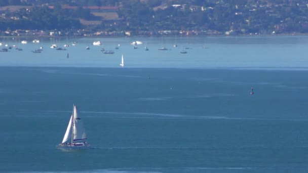 Teluk San Francisco Seperti Yang Terlihat Dari Menara Coit Telegraph — Stok Video