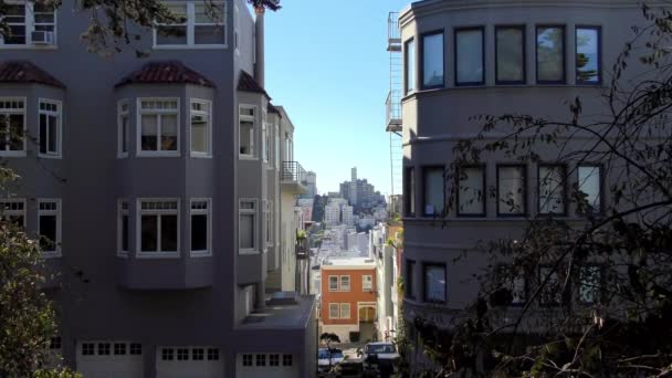 Greenwich Caddesi Nin San Francisco Kaliforniya Daki Telegraph Hill Den — Stok video