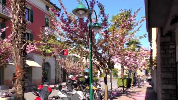 Riva Del Garda Itália Abril 2015 Filmagem Turistas Não Identificados — Vídeo de Stock