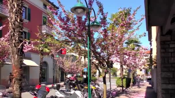 Riva Del Garda Italy April 2015 Кадри Неідентифікованого Турізсона Квітня — стокове відео