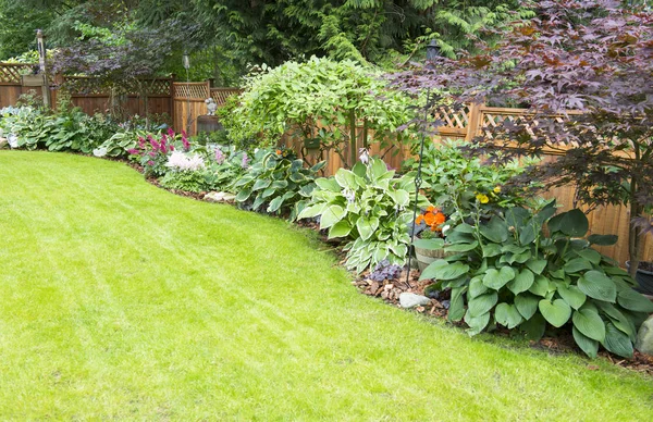 Schöne Gartengestaltung Von Einjährigen Stauden Und Laub — Stockfoto