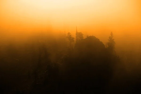 Mistige Bergen Met Stoom Stijgt Rond Bomen Ruig Bergwand Kliffen — Stockfoto