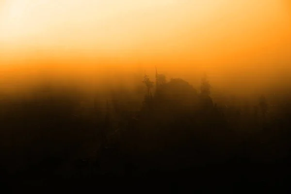 Montagnes Brumeuses Avec Vapeur Élevant Autour Des Arbres Des Falaises — Photo