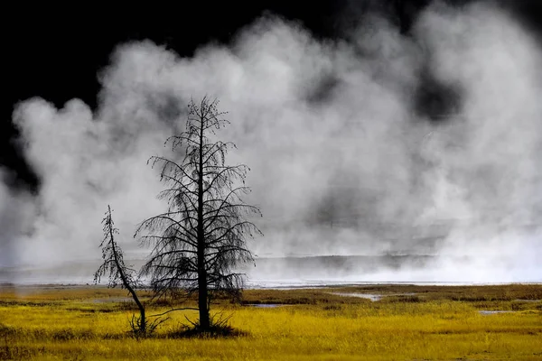Geysire Und Dampf Aus Heißen Quellen Yellowstone Nationalpark — Stockfoto