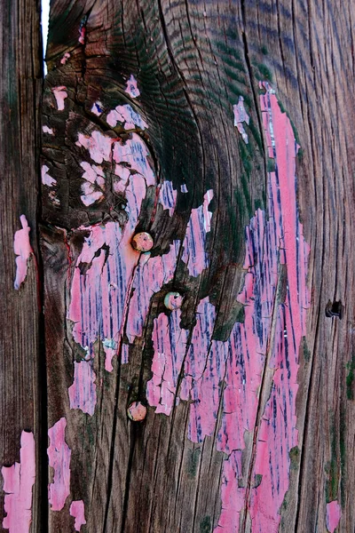 Detail Alter Abgesplitterter Farbe Lackierte Holzzaunwand Mit Rostigen Nägeln — Stockfoto