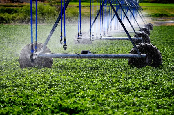 Irrigatie Sprinkler Systeemproblemen Voor Besproeiing Van Gewassen Groeien Boerderij Landbouw — Stockfoto