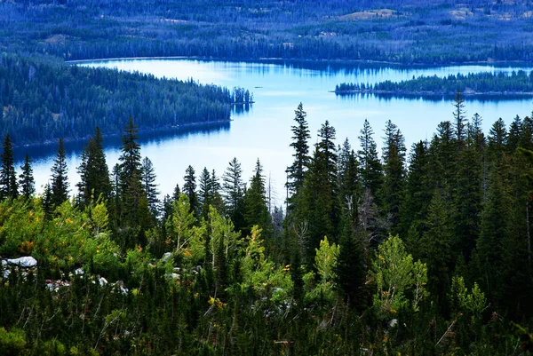 High Mountain Lake Celar Pure Water Forest Environment — Stock Photo, Image