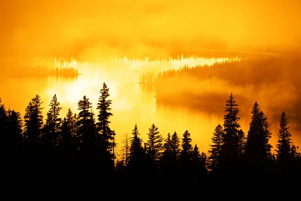 Misty Mouintain Foresta Con Lago Puro Alberi Pino Sfondo — Foto Stock