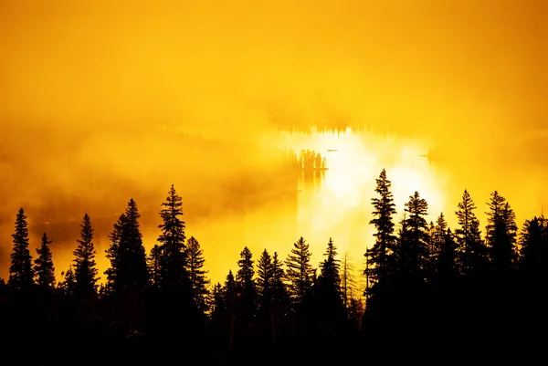 Nebliger Bergwald Mit Reinem See Hintergrund — Stockfoto