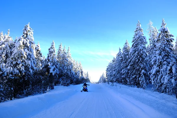 Snowmobiling Havas Hegyi Úton Hóval Borított Fenyőfákkal Vadonban — Stock Fotó