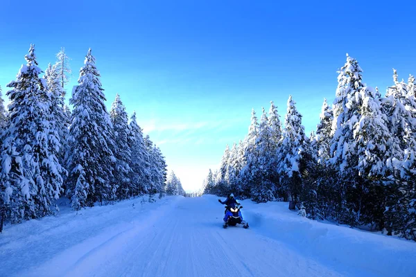 Snowmobiling Estrada Montanha Nevada Com Neve Coberto Pinheiros Deserto — Fotografia de Stock