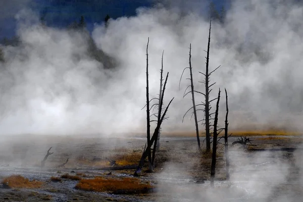 Geisers Stoom Uit Warmwaterbronnen Stijgt Yellowstone National Park — Stockfoto