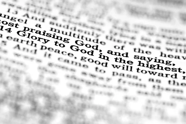 Skrifterna Från Bibeln Anden Lära Sig Evangeliets Sanning Andlighet Ära — Stockfoto