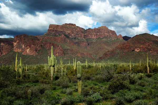 Arizona Desert Superstition Montagnes Sauvages Avec Cactus Cactus Nuages — Photo