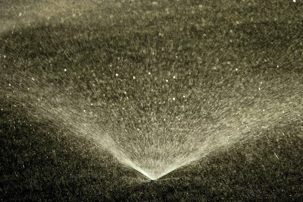 Sprinkler Versprüht Frisches Nasses Wasser Auf Sattgrünem Gartenrasen — Stockfoto