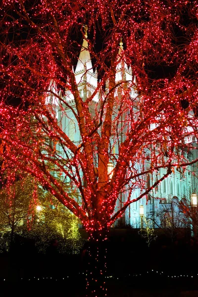 Aralık Utah Salt Lake City Mormon Tapınağı Noel Işıkları — Stok fotoğraf