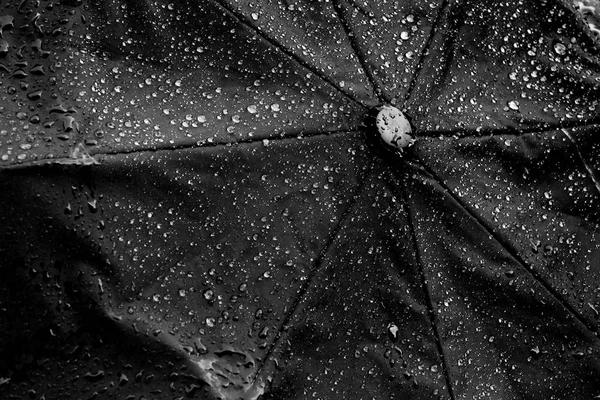 Paraguas Negro Húmedo Tiempo Lluvioso Tormentoso Que Proporciona Refugio Tormenta — Foto de Stock